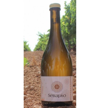 Serapio 2020 * Sauvignon Blanc, Mota del Cuervo