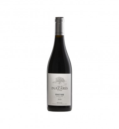 Pinot Noir 2020. El viñedo más alto del continente europeo en muchosvinos.com.