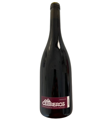 Hoyanko 2020 - Garnacha - Cebreros - Sierra de Gredos - muchosvinos.com