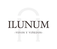 ILUNUM - vinos y viñedos