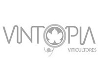 Vintopía Viticultores - Cinco Casas - C.R.